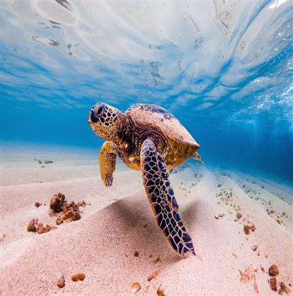 Marsa Alam Touren 